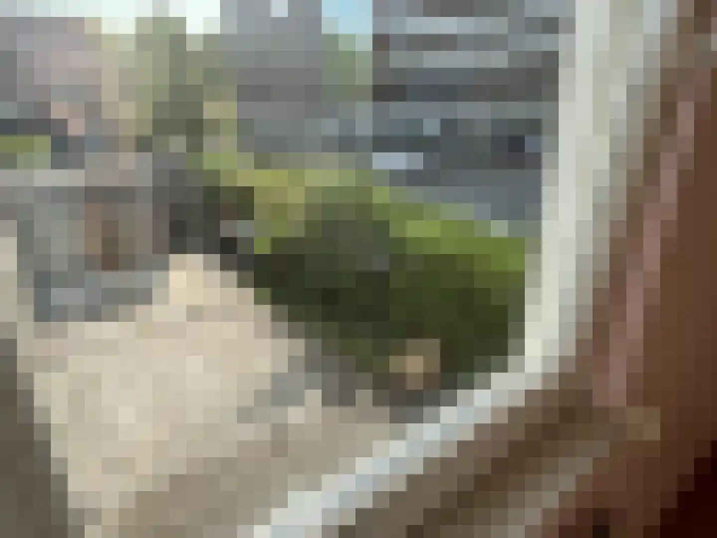 Telefoonstraat 2 Roosendaal thumbnail 23