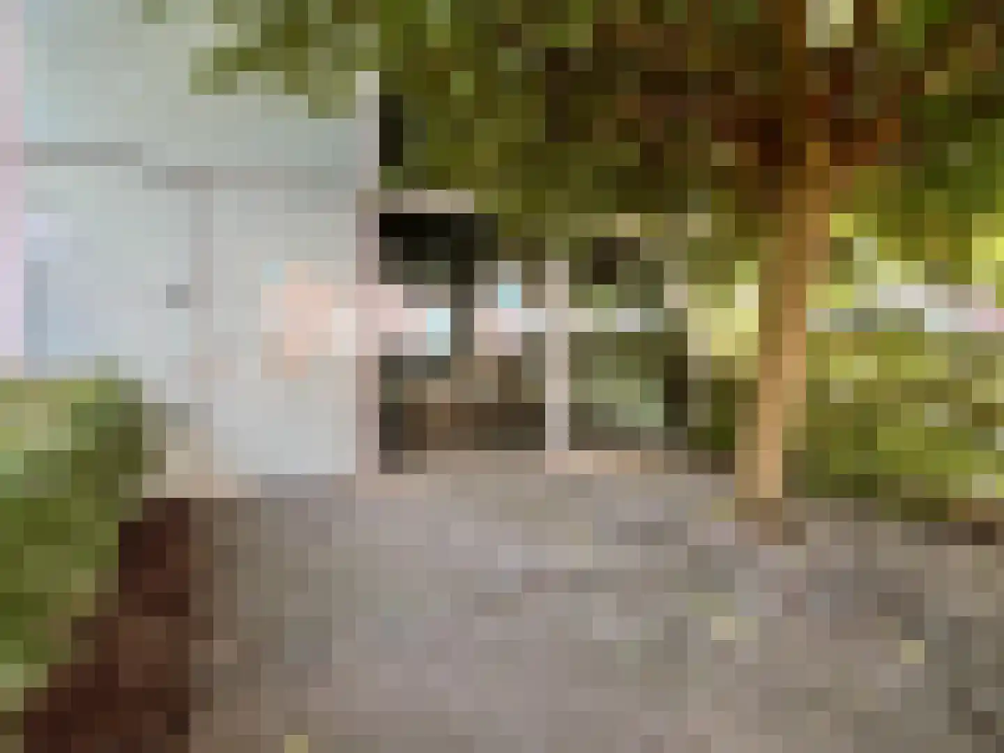 Telefoonstraat 2 Roosendaal thumbnail 4
