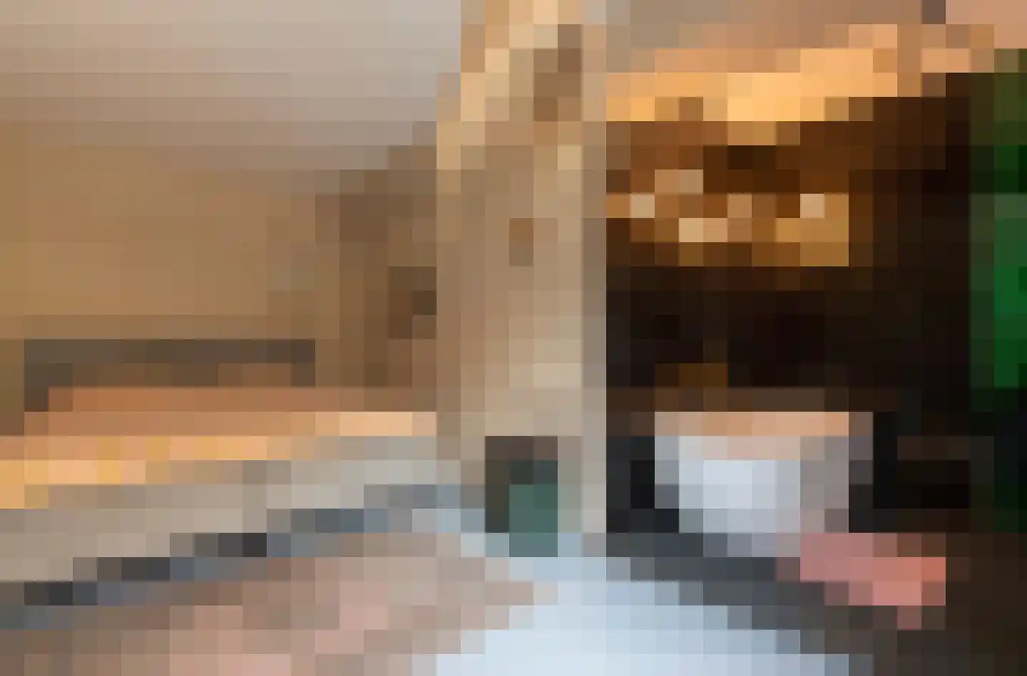 Telefoonstraat 22 Tilburg thumbnail 12