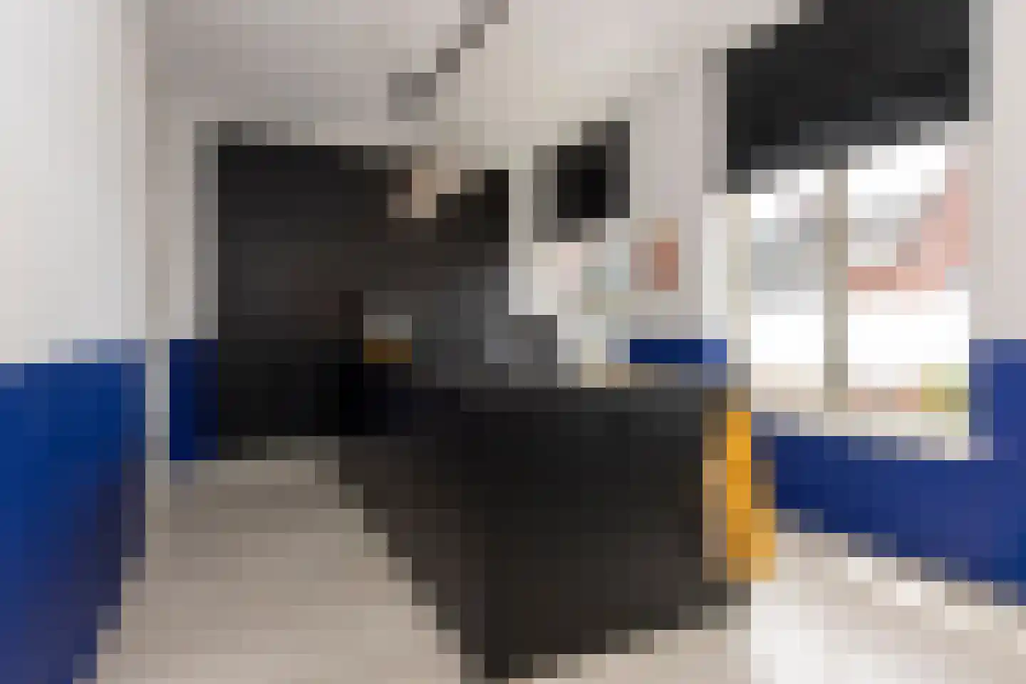 Telefoonstraat 22 Tilburg thumbnail 18