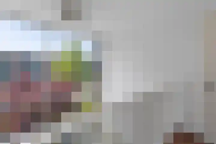 Telefoonstraat 26 Roosendaal thumbnail 26
