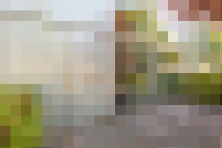 Telefoonstraat 26 Roosendaal thumbnail 36