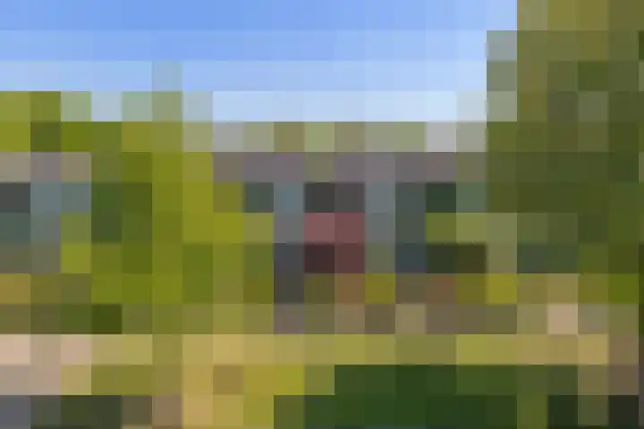 Telefoonstraat 26 Roosendaal thumbnail 37