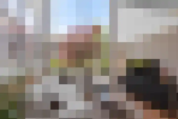 Telefoonstraat 26 Roosendaal thumbnail 6