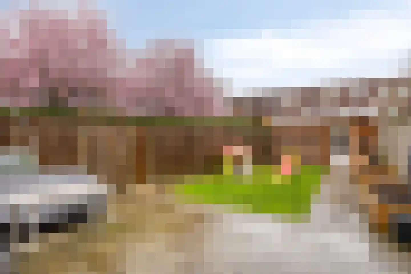 Telefoonstraat 34 Roosendaal thumbnail 21