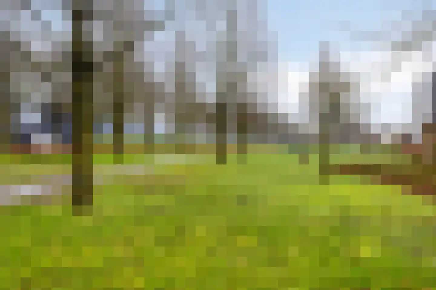 Telefoonstraat 34 Roosendaal thumbnail 25
