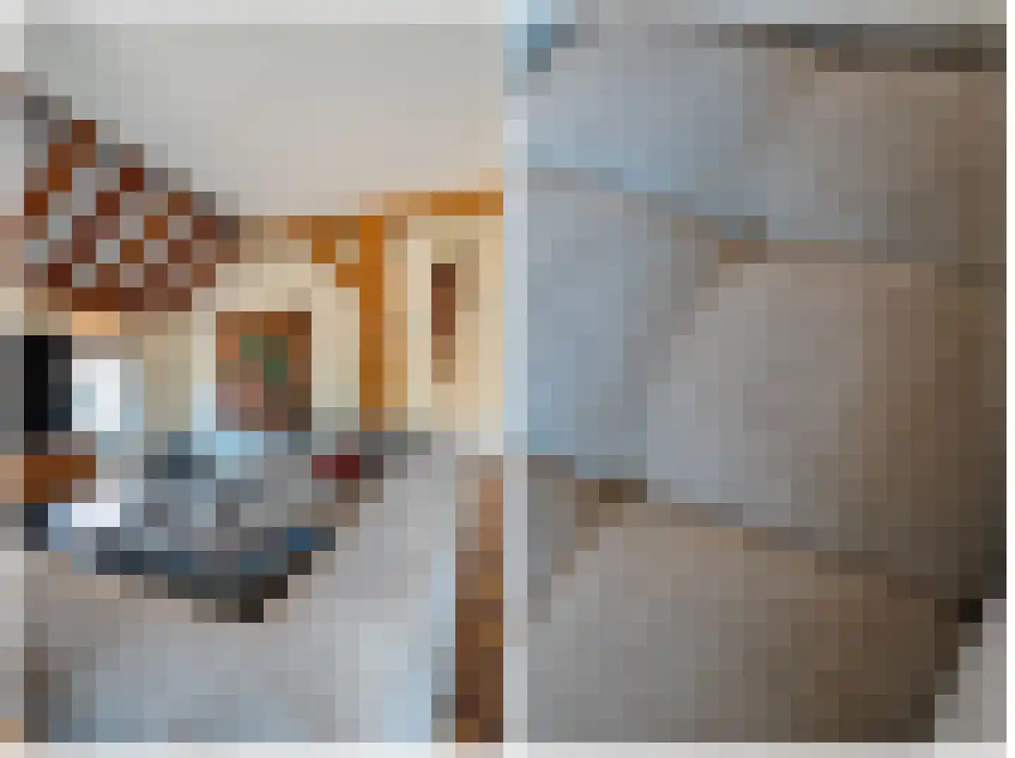 Telefoonstraat 43 Zuidlaren thumbnail 34