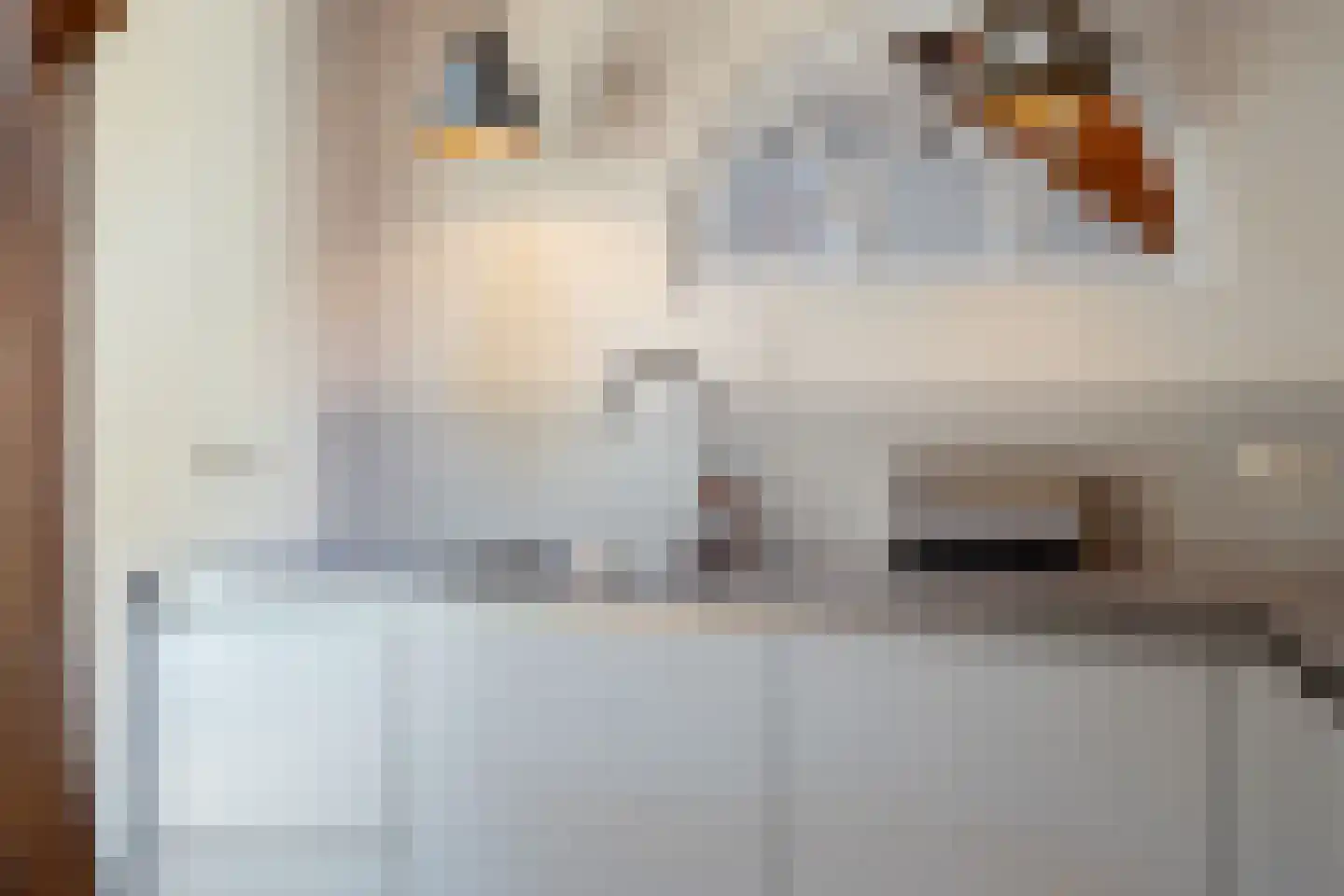 Telefoonstraat 43 Zuidlaren thumbnail 49