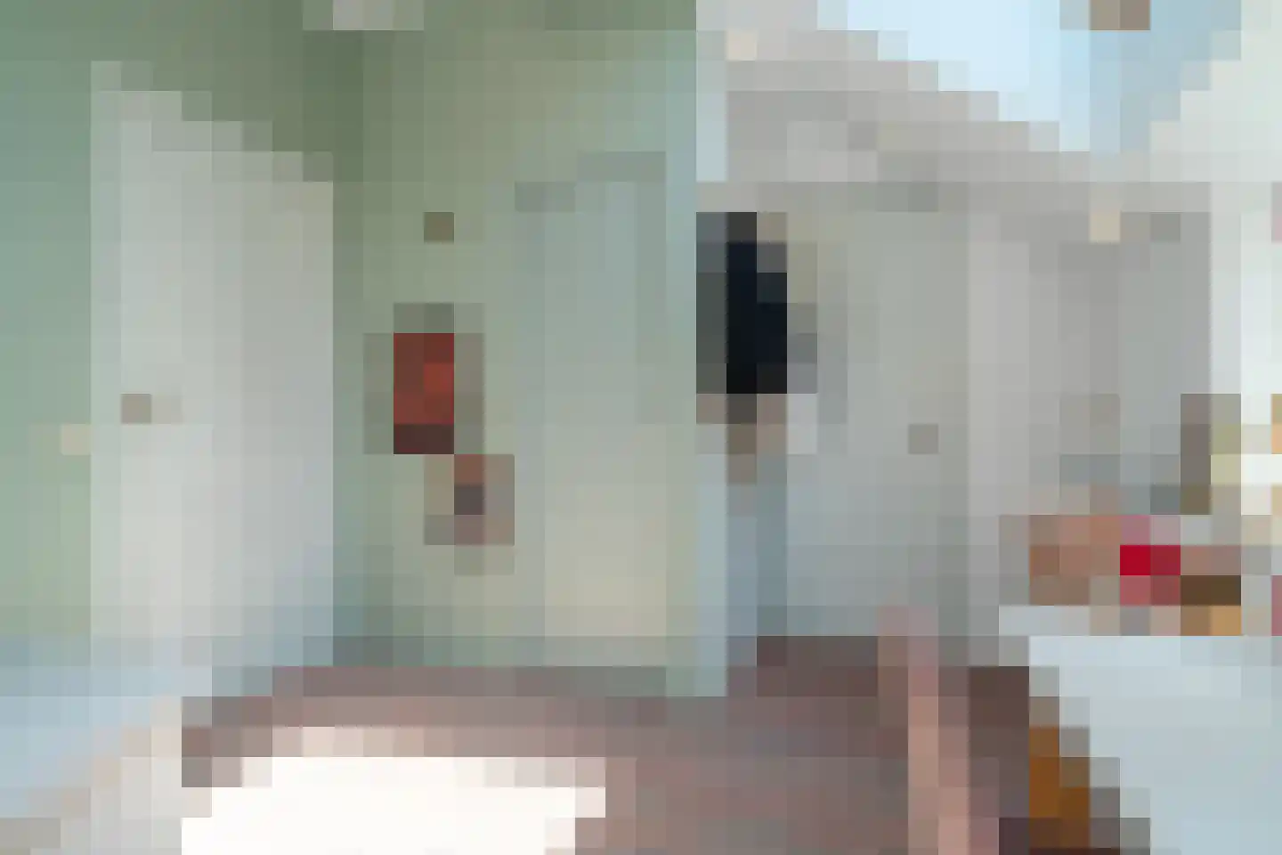 Telefoonstraat 43 Zuidlaren thumbnail 61