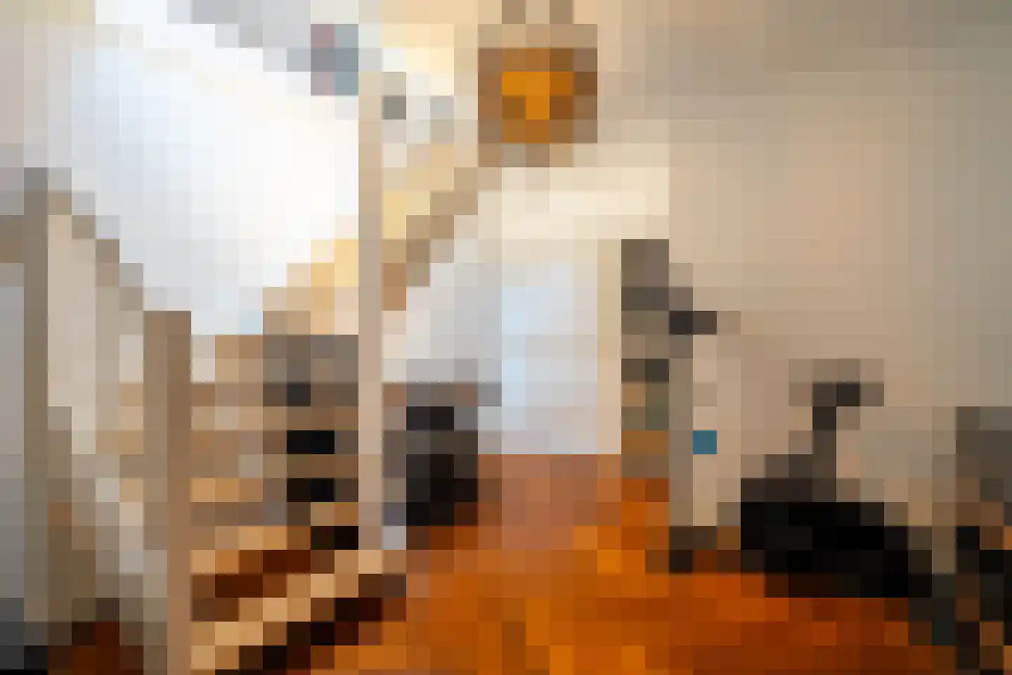 Telefoonstraat 43 Zuidlaren thumbnail 72