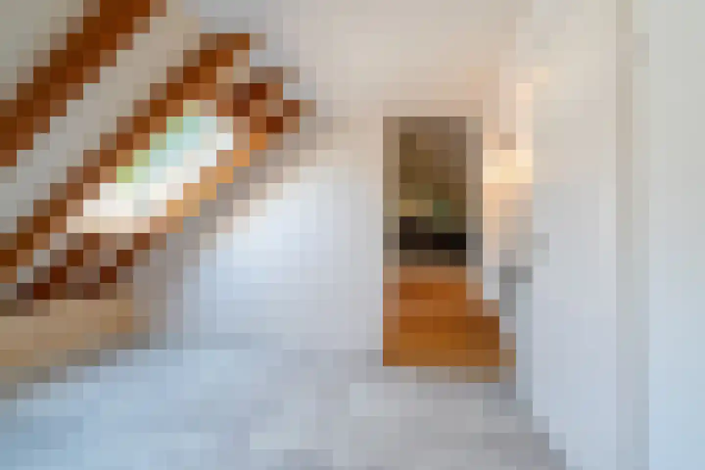 Telefoonstraat 43 Zuidlaren thumbnail 76