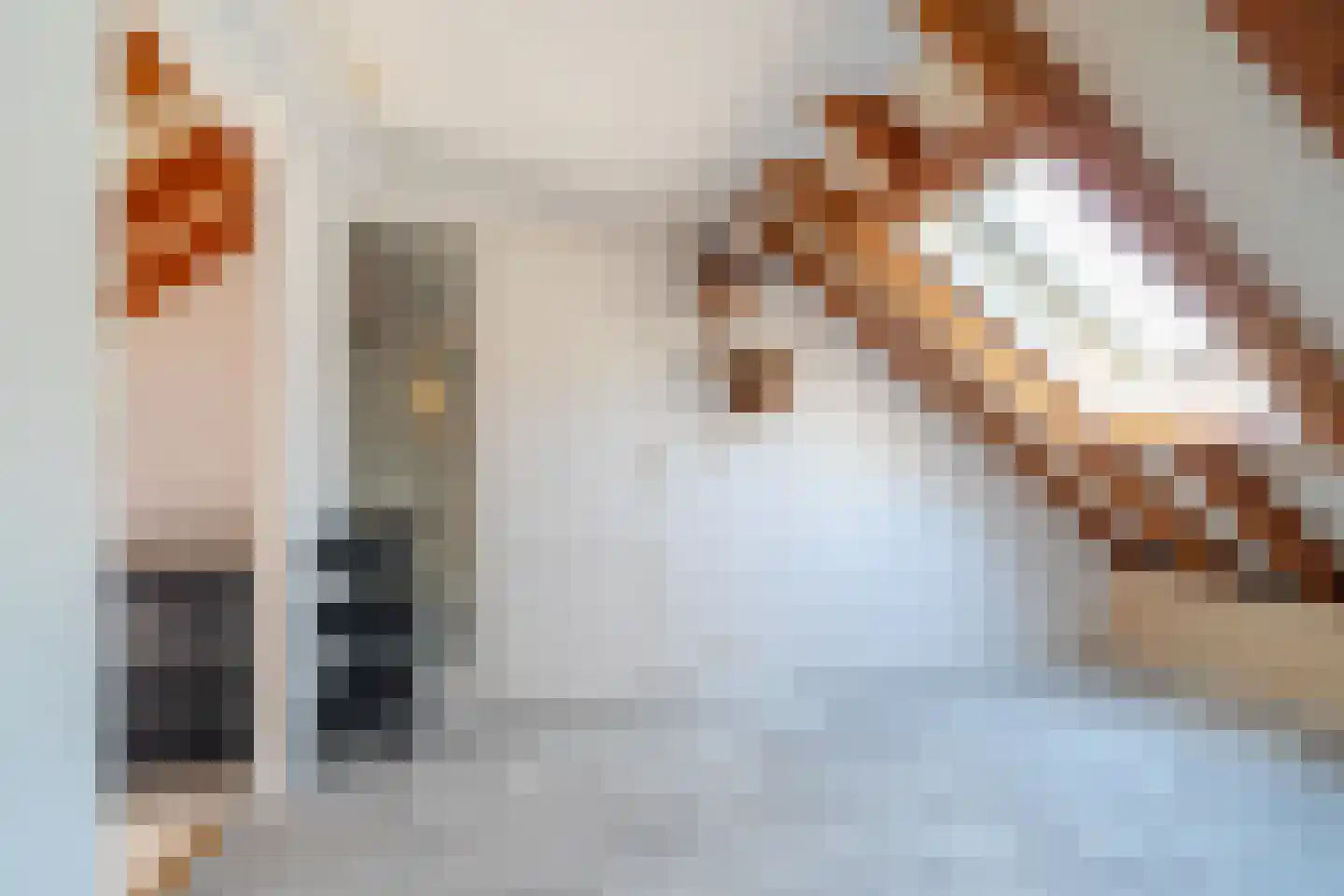 Telefoonstraat 43 Zuidlaren thumbnail 77