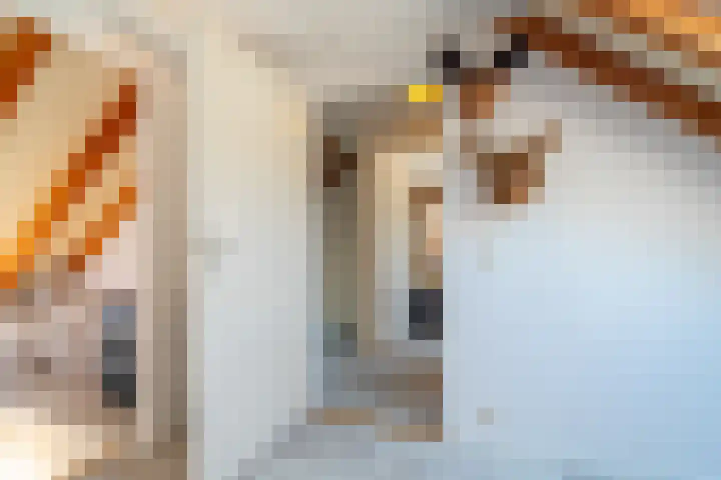 Telefoonstraat 43 Zuidlaren thumbnail 78