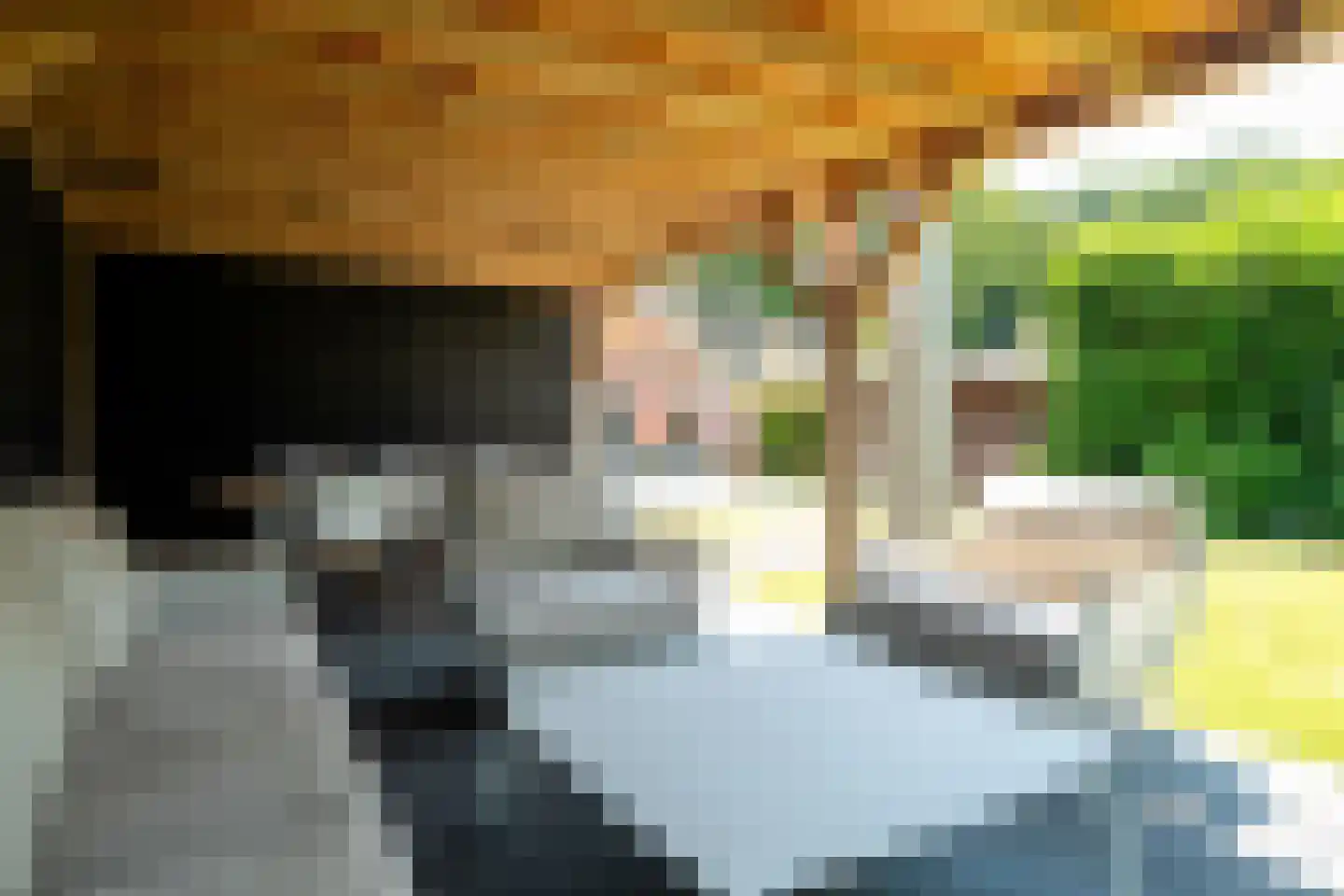 Telefoonstraat 43 Zuidlaren thumbnail 8