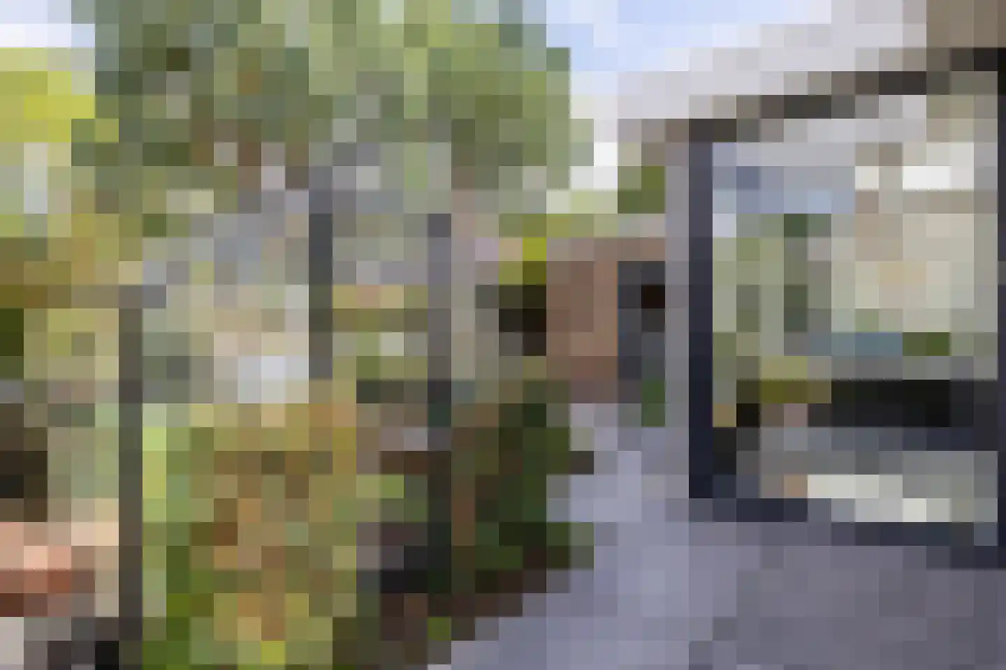 Telefoonstraat 49 Zuidlaren thumbnail 24