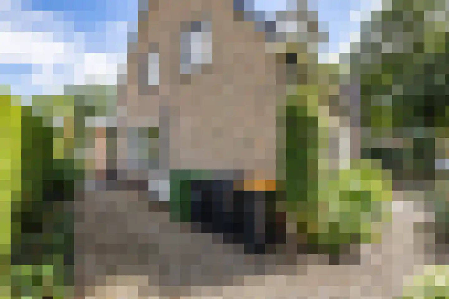 Telefoonstraat 49 Zuidlaren thumbnail 40