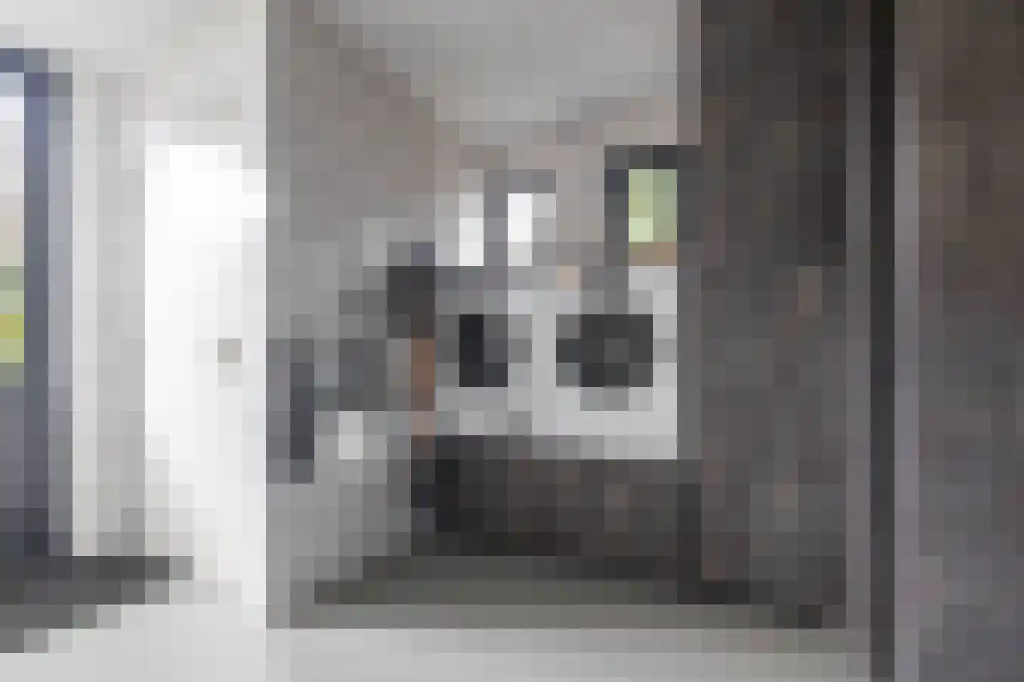 Telefoonstraat 49 Zuidlaren thumbnail 43