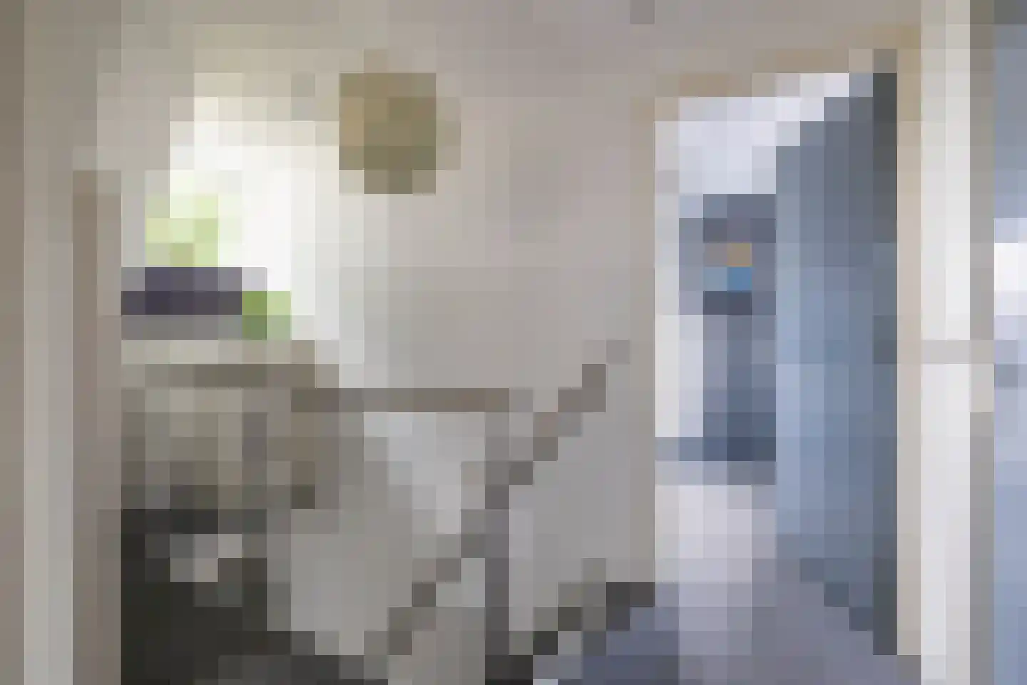 Telefoonstraat 49 Zuidlaren thumbnail 46