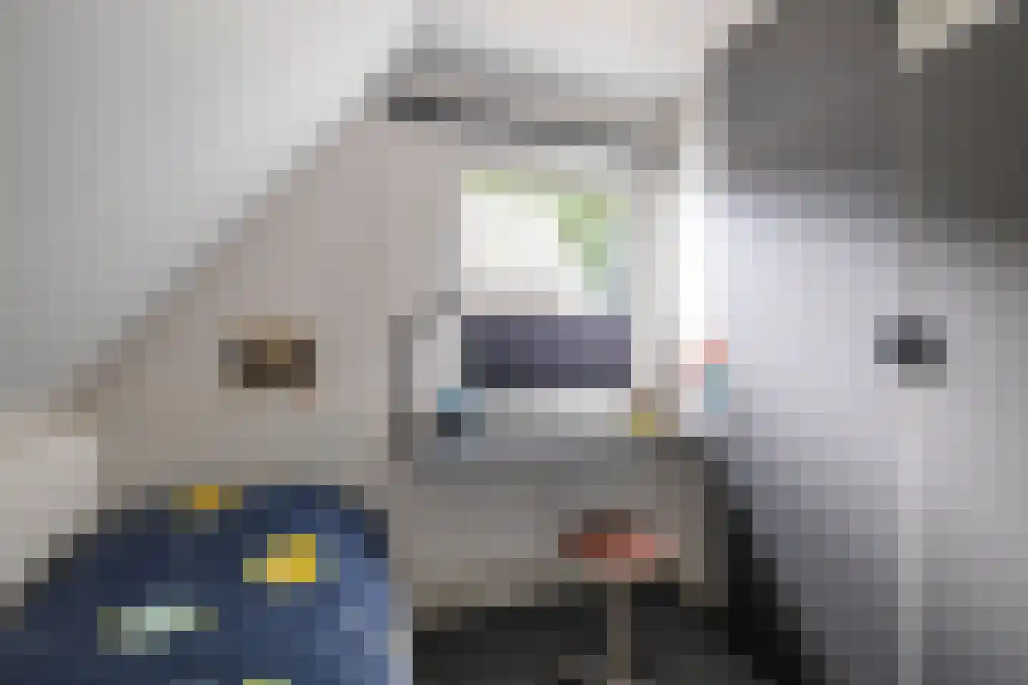 Telefoonstraat 49 Zuidlaren thumbnail 52