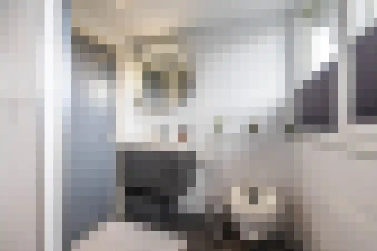 Telefoonstraat 49 Zuidlaren thumbnail 58