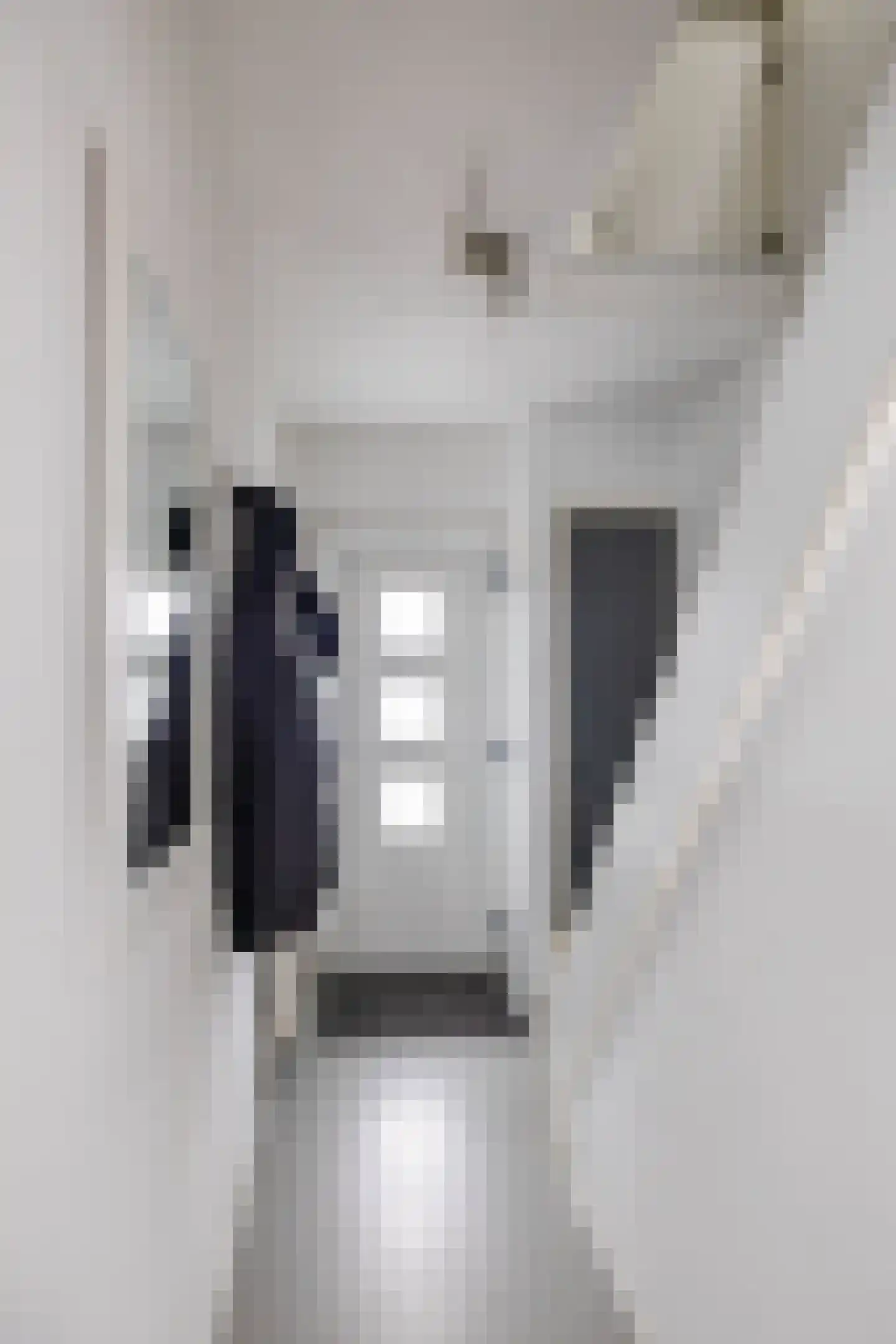 Telefoonstraat 49 Zuidlaren thumbnail 8