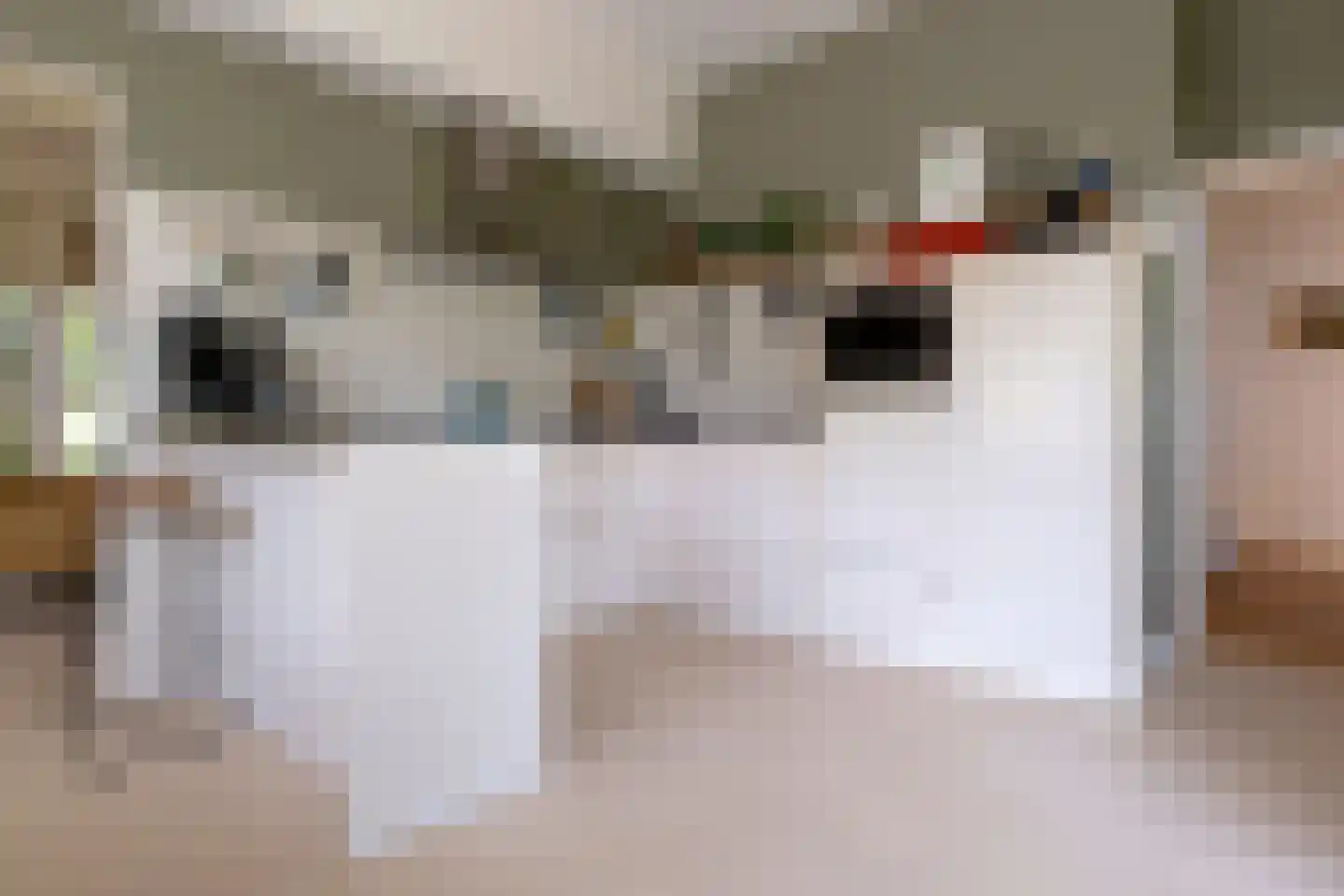 Telefoonstraat 50 Zuidlaren thumbnail 25