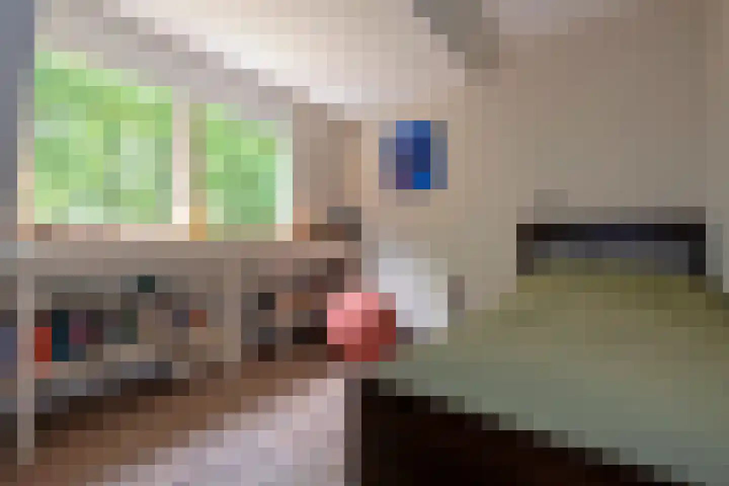 Telefoonstraat 50 Zuidlaren thumbnail 35