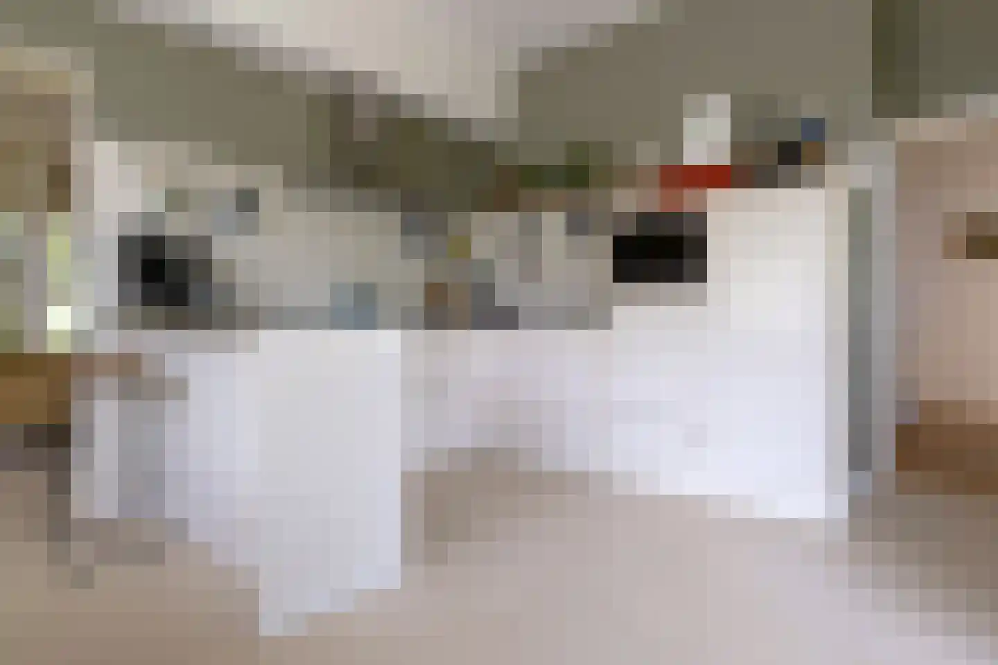 Telefoonstraat 50 Zuidlaren thumbnail 4