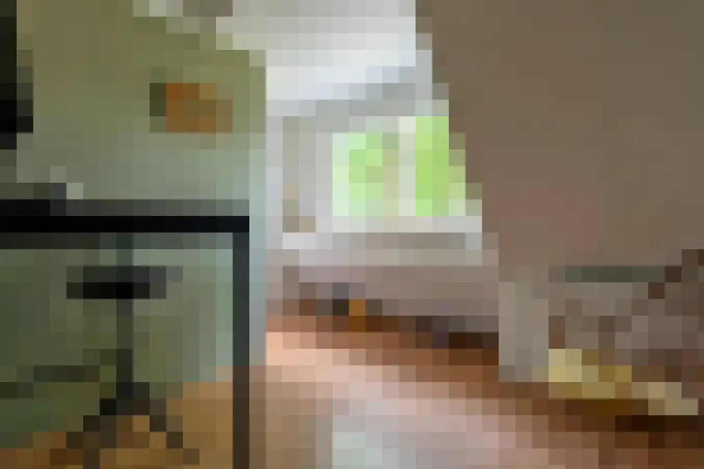Telefoonstraat 50 Zuidlaren thumbnail 42