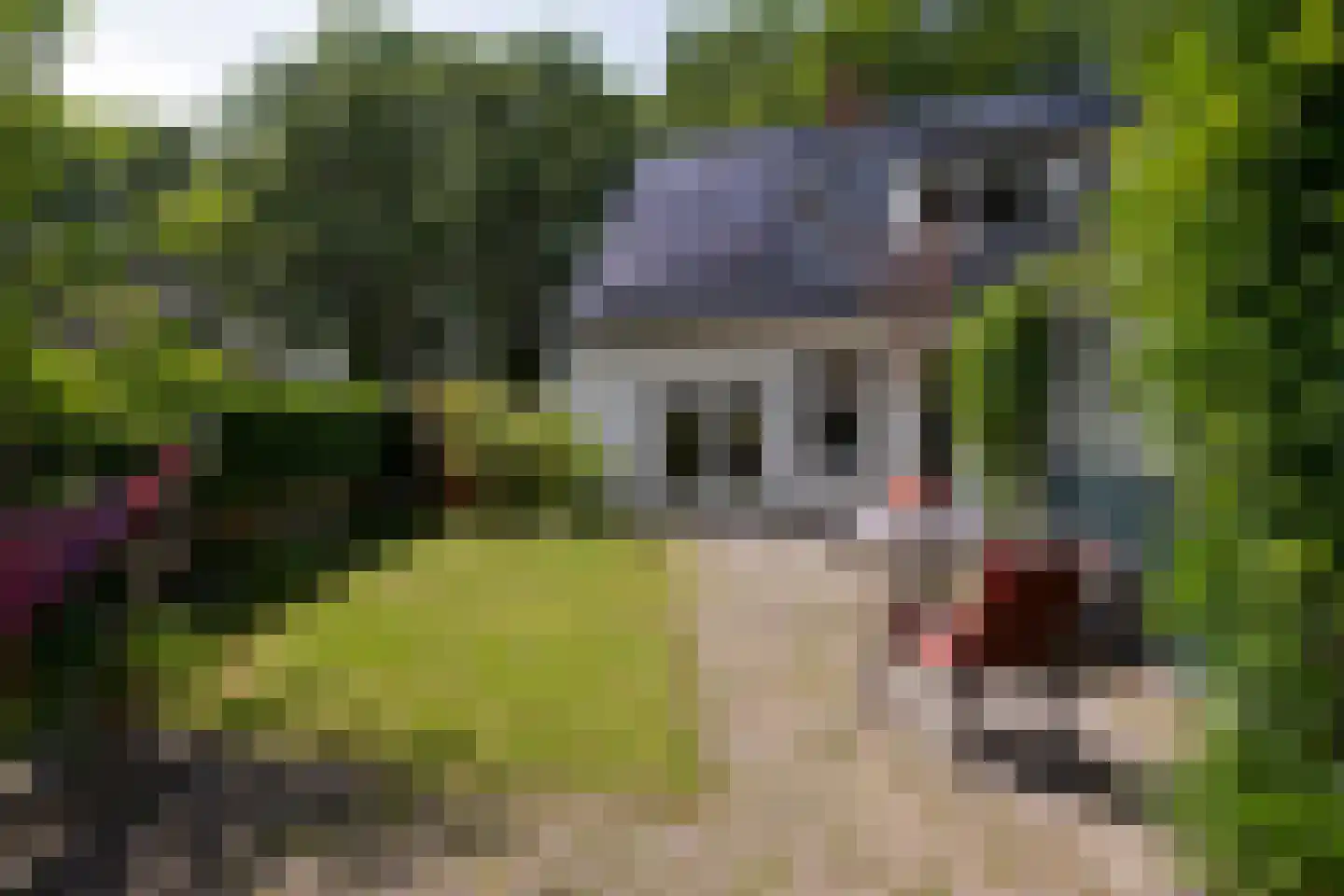 Telefoonstraat 50 Zuidlaren thumbnail 48