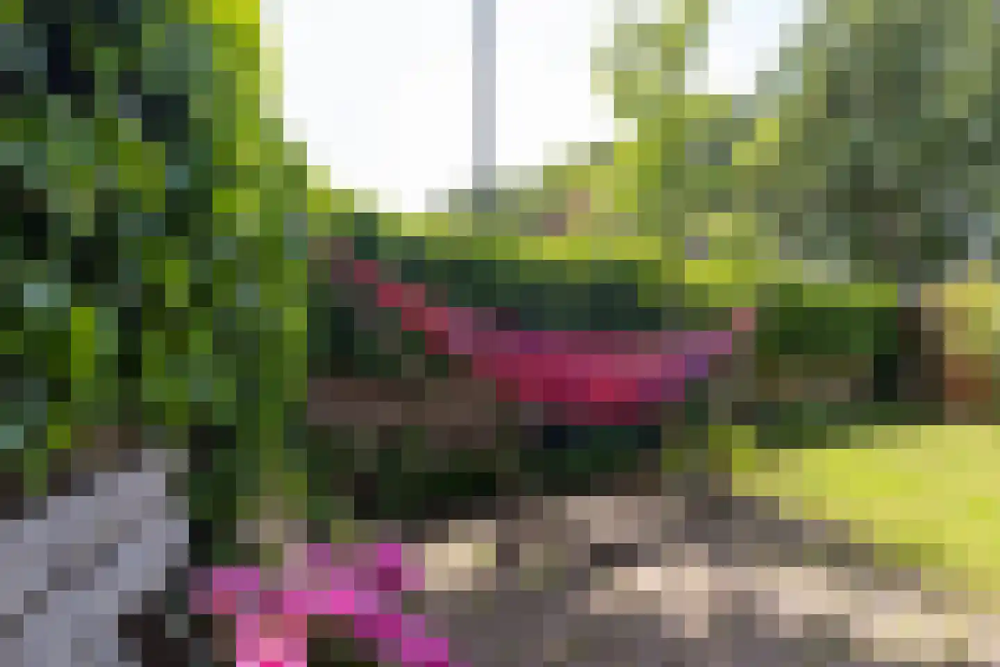 Telefoonstraat 50 Zuidlaren thumbnail 52