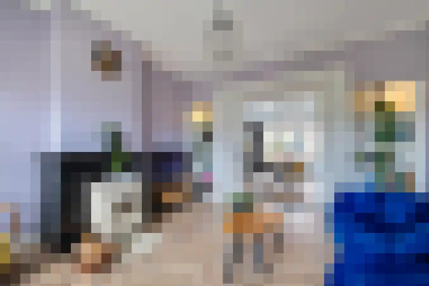 Telefoonstraat 8 Zuidlaren thumbnail 15