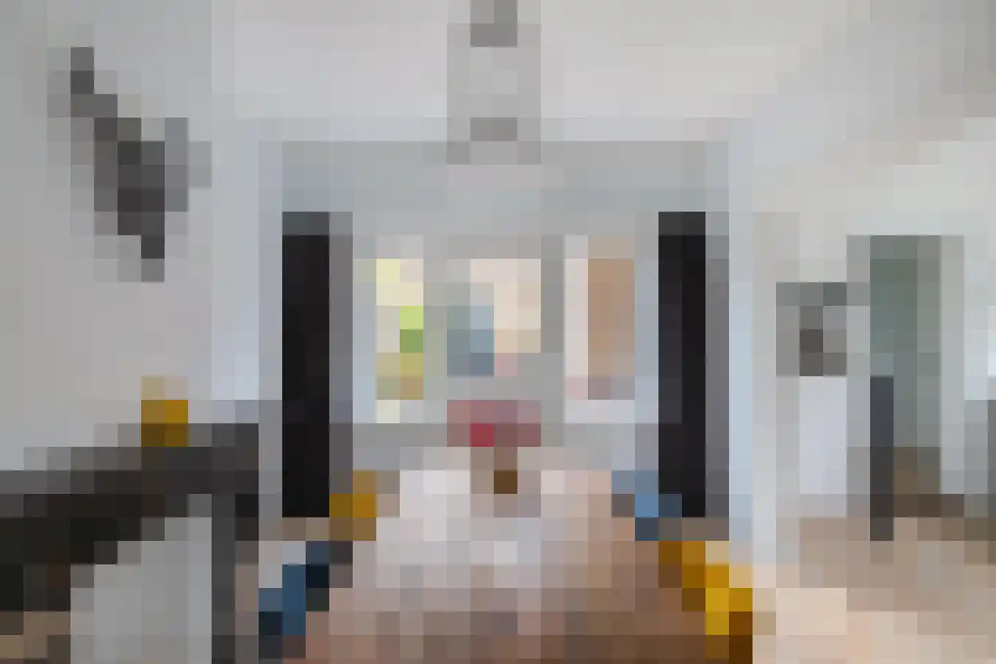 Telefoonstraat 8 Zuidlaren thumbnail 17