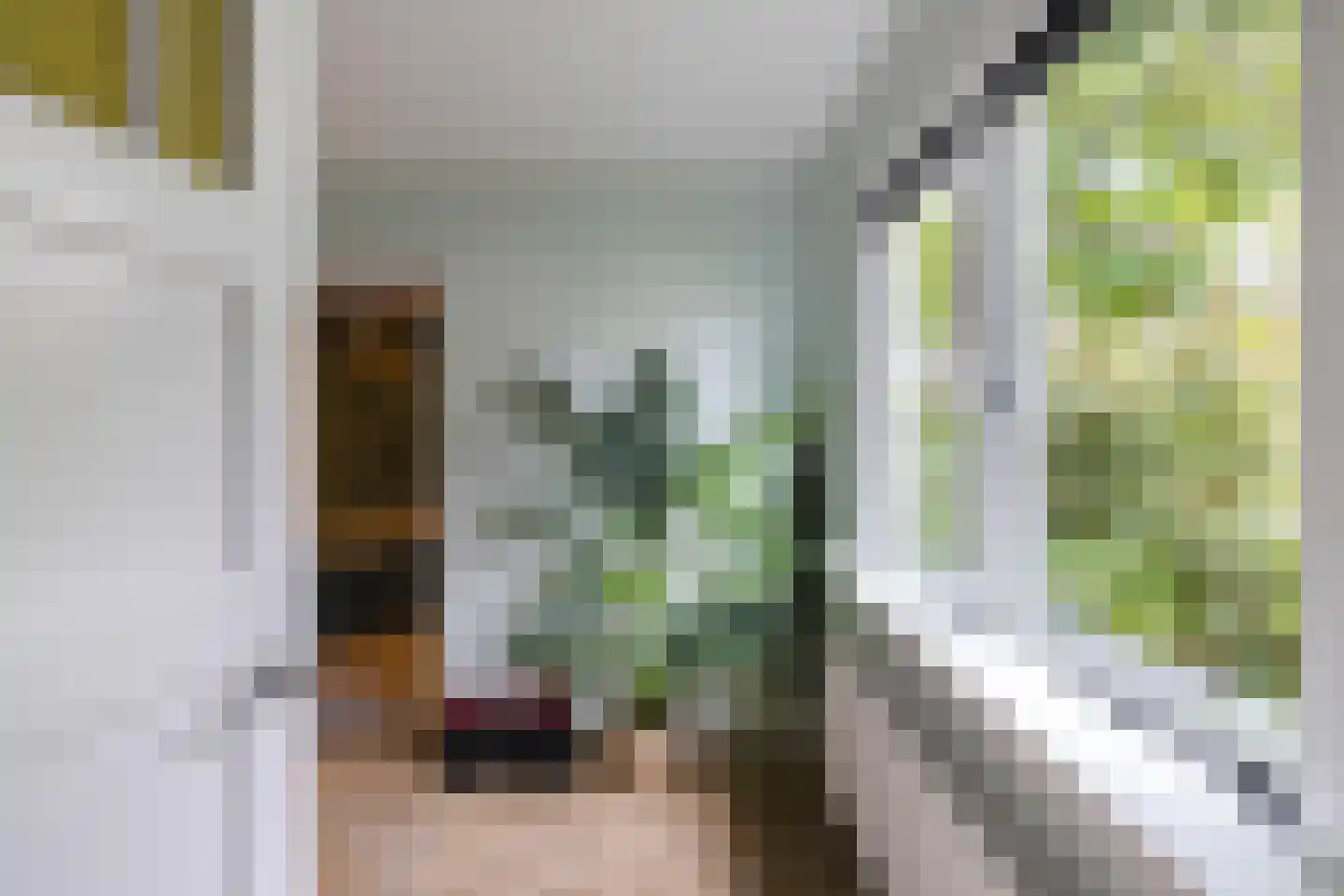 Telefoonstraat 8 Zuidlaren thumbnail 21