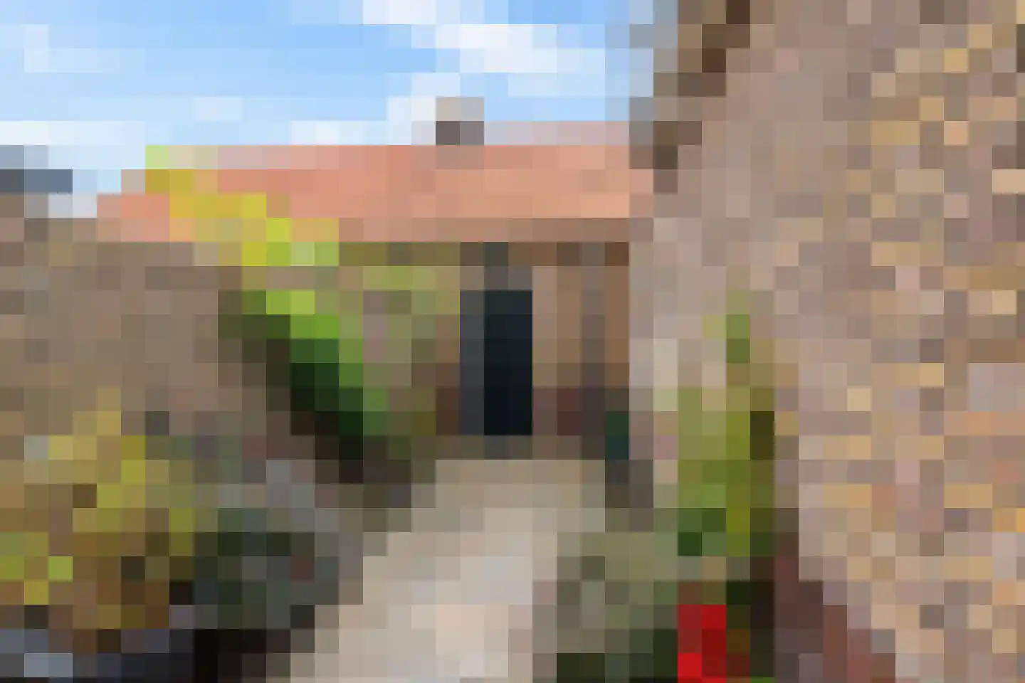 Telefoonstraat 8 Zuidlaren thumbnail 41