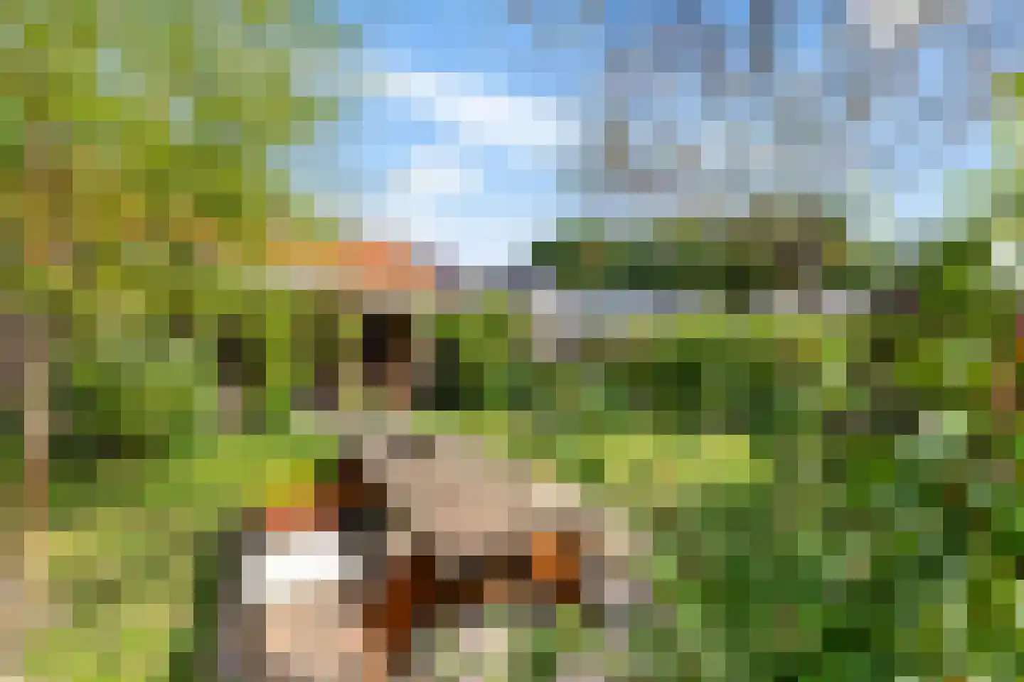 Telefoonstraat 8 Zuidlaren thumbnail 43