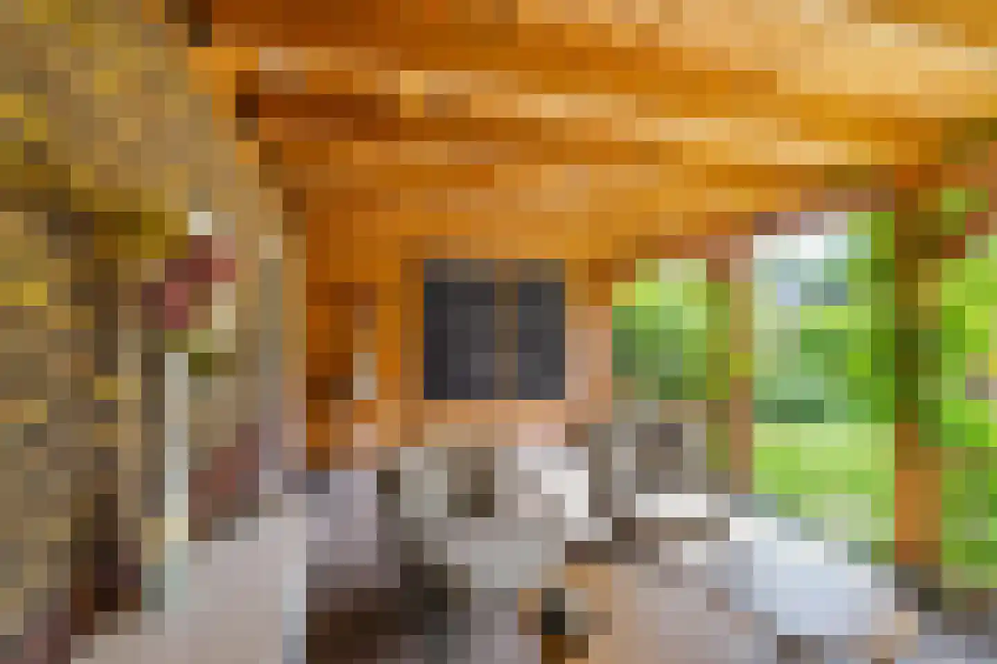Telefoonstraat 8 Zuidlaren thumbnail 47