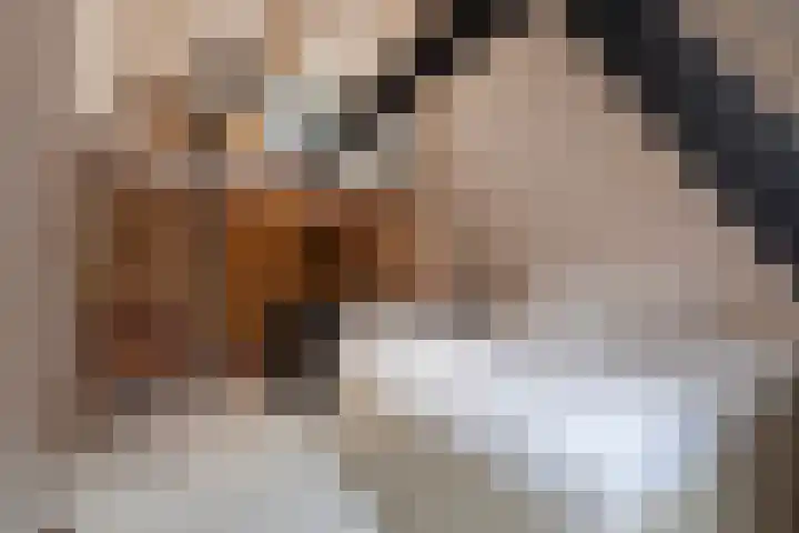 Telefoonstraat 9 Tilburg thumbnail 20