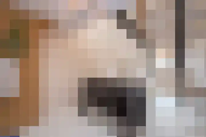 Telefoonstraat 9 Tilburg thumbnail 22