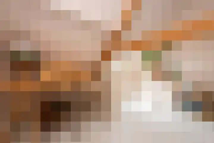 Telefoonstraat 9 Tilburg thumbnail 26