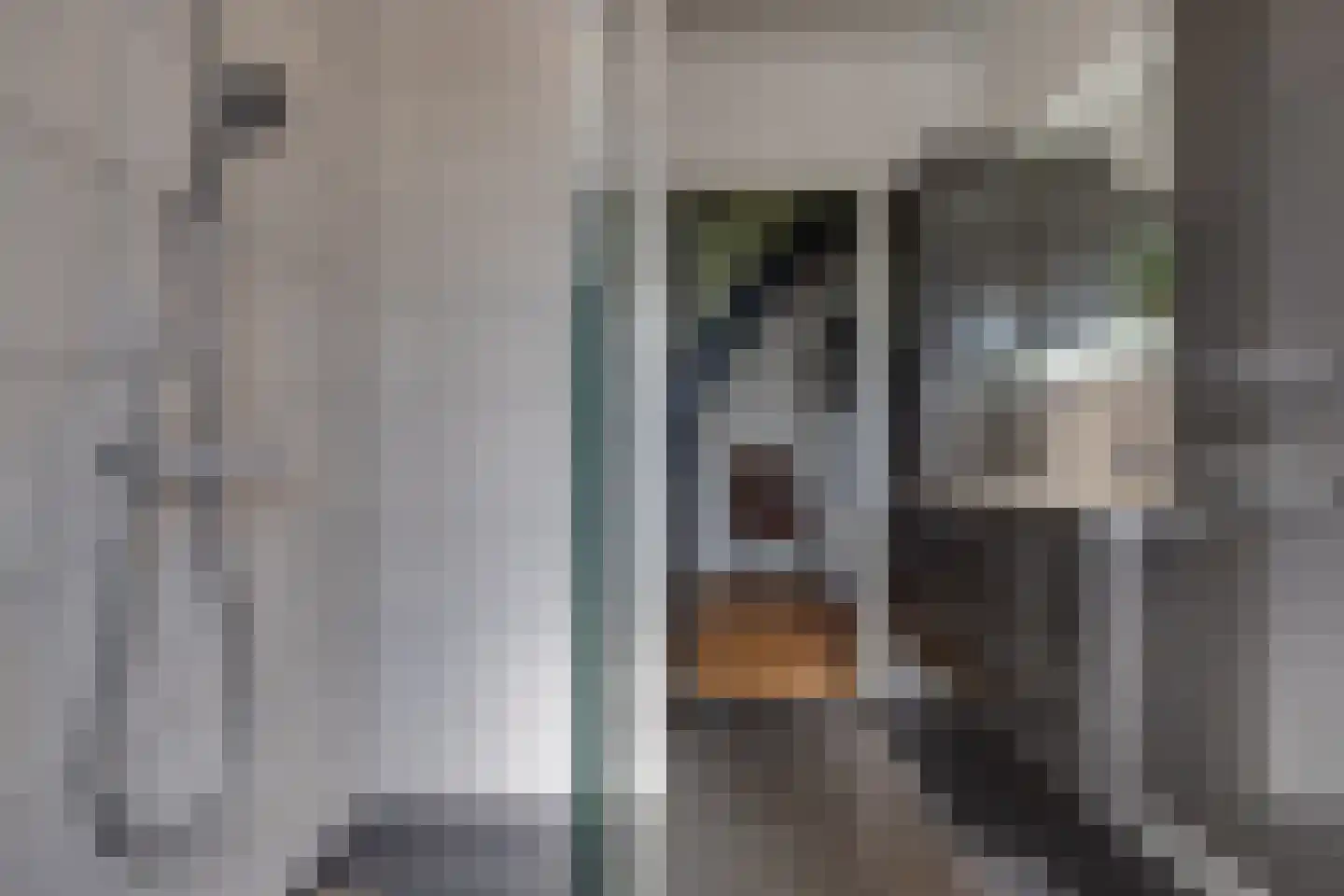 Telefoonweg 1 A Musselkanaal thumbnail 16