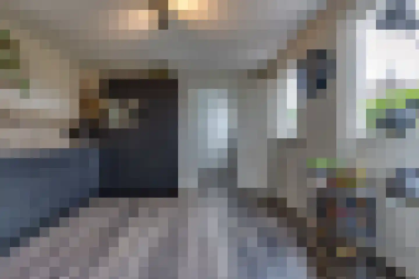 Telefoonweg 1 A Musselkanaal thumbnail 17