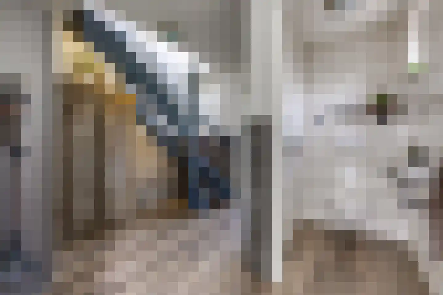 Telefoonweg 1 A Musselkanaal thumbnail 20