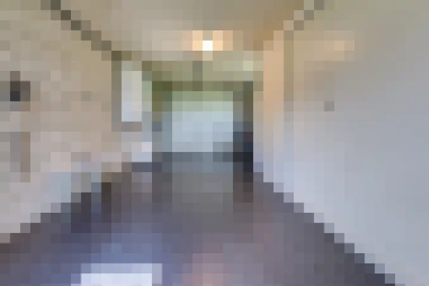 Telefoonweg 1 A Musselkanaal thumbnail 22