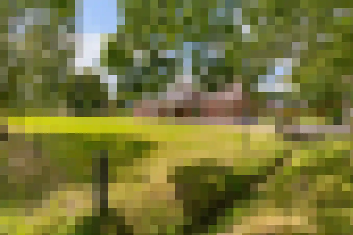 Telefoonweg 1 A Musselkanaal thumbnail 29