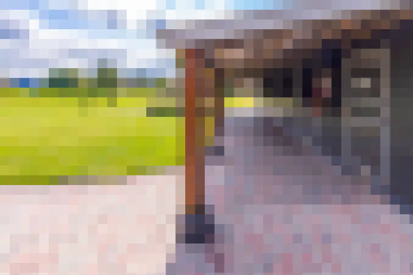 Telefoonweg 1 A Musselkanaal thumbnail 35