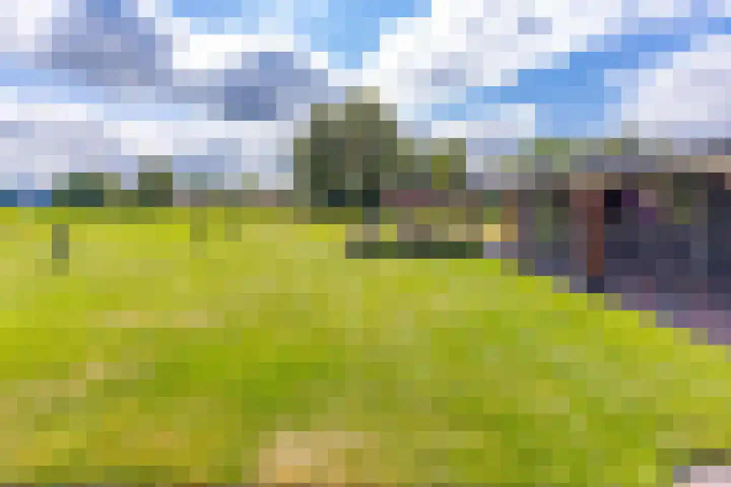 Telefoonweg 1 A Musselkanaal thumbnail 37