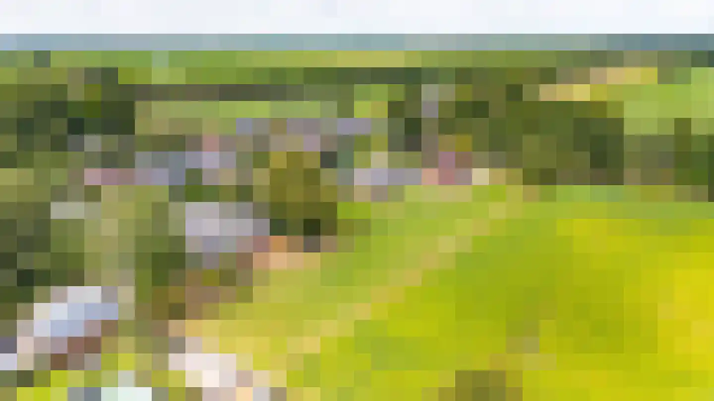 Telefoonweg 1 A Musselkanaal thumbnail 38