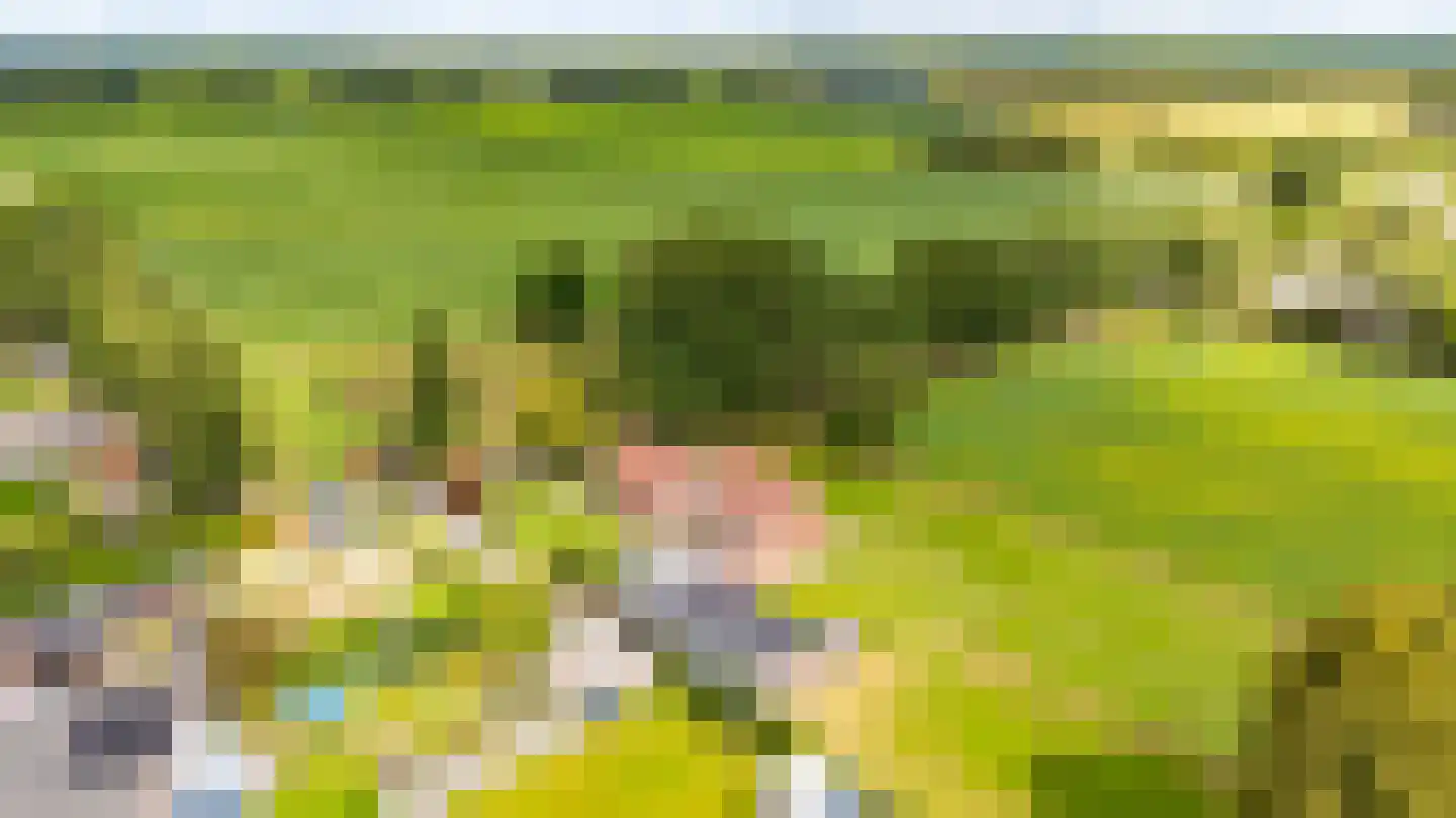 Telefoonweg 1 A Musselkanaal thumbnail 39