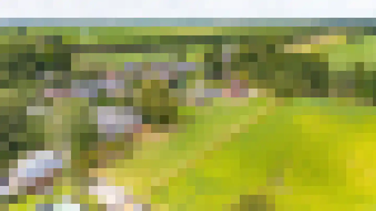 Telefoonweg 1 A Musselkanaal thumbnail 4